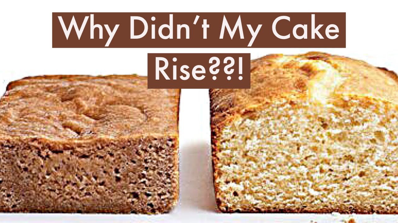 Why Doesn'T Cake Rise